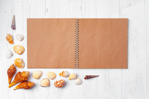 Open notepad with sea shells on white wooden background, top view