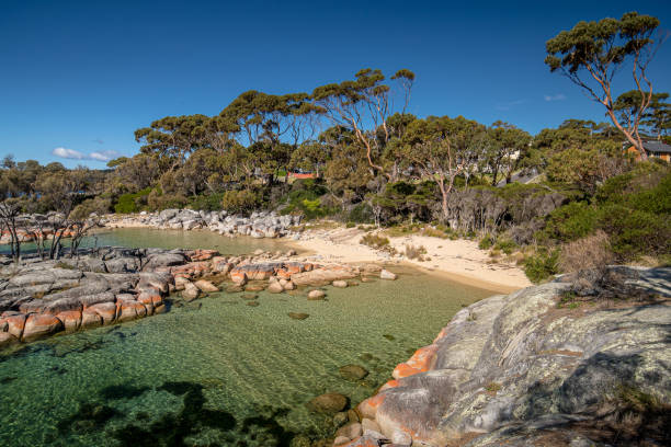 istock Tasmania's Bay of Fires 1292018599