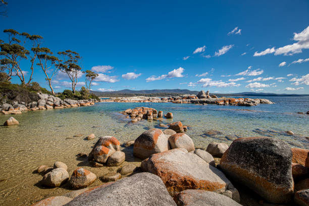 istock Tasmania's Bay of Fires 1292019938