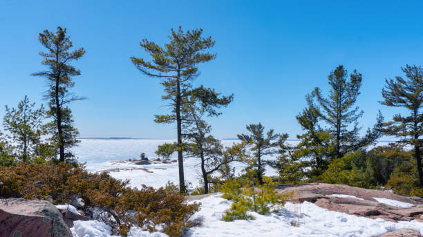 Georgian Bay Winter Landscape