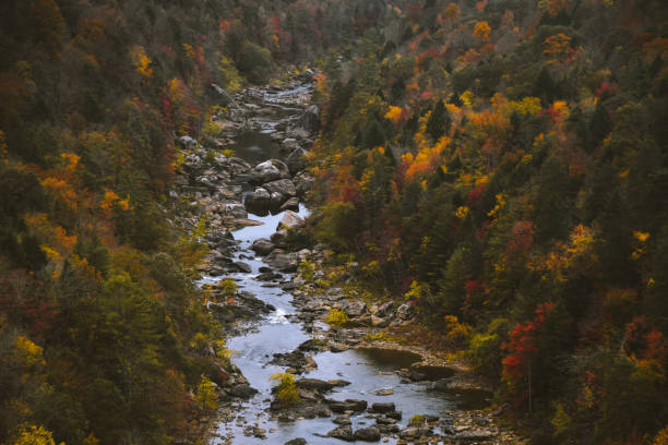 Fall at Honey Creek Loop Trail at Big South Fork National Recreation Area in central Tennessee