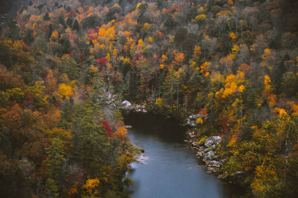istock Fall at Honey Creek Loop in Big South Fork in Tennessee 1292028076