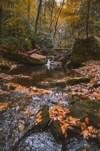 istock Fall at Honey Creek Loop in Big South Fork in Tennessee 1292028149