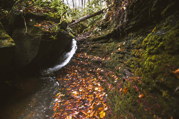 istock Fall at Honey Creek Loop in Big South Fork in Tennessee 1292028253