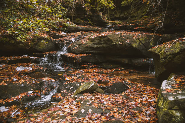 Fall at Honey Creek Loop in Big South Fork in Tennessee