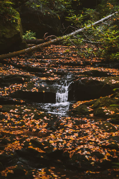 istock Fall at Honey Creek Loop in Big South Fork in Tennessee 1292028326