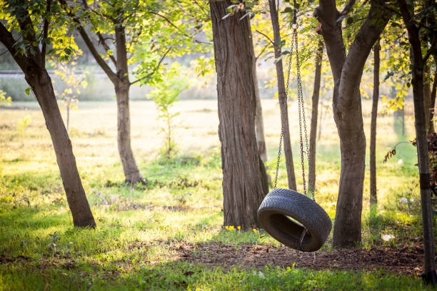 Old tyre swing hanging with a chain in a wood in summer or autumn in a kids playground. This swing is made of a recycle tire wheel of rubber. Picture of a tire swing hanging in the woods in summer, supposed to be used by children. tire swing stock pictures, royalty-free photos & images