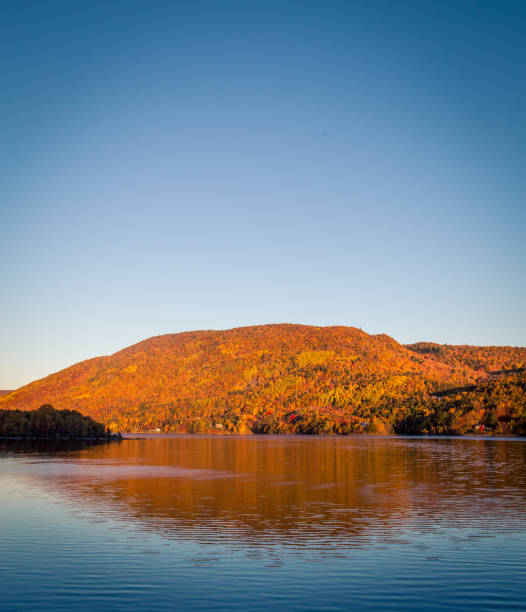 istock lake in autumn in Cape Breton 1292029726
