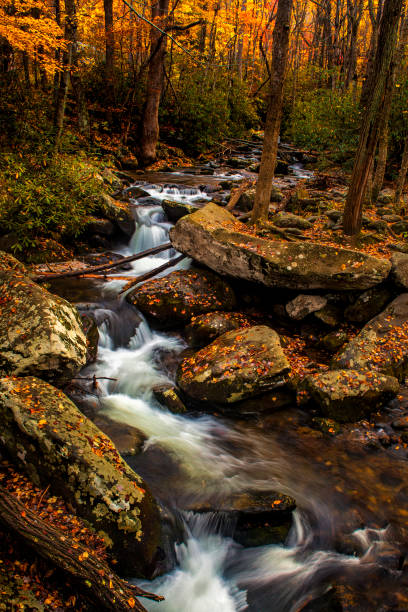 istock Smokies River at Autumn 1292029832