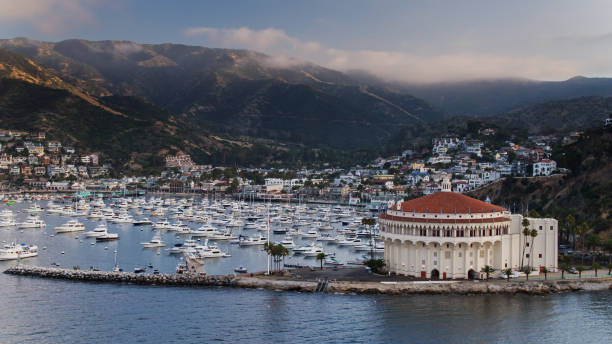 istock Aerial View of Avalon from Over the Ocean 1292029895