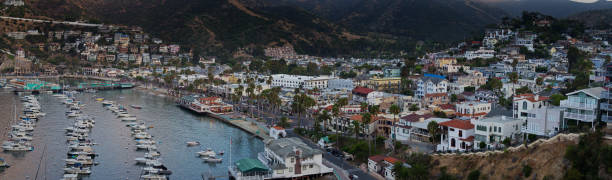 istock Drone Panorama of Avalon, California at Dusk 1292029908