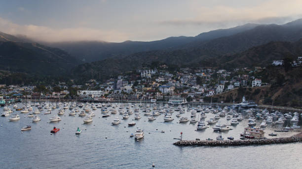 istock Hazy Sunset in Avalon - Aerial 1292029919