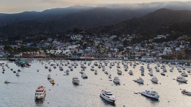 istock Hazy Sunset in Avalon - Aerial 1292029922