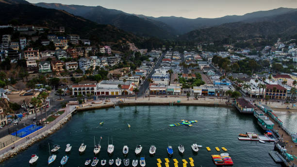 istock Aerial View Down Quiet Streets in Avalon from Out Over the Bay 1292029928
