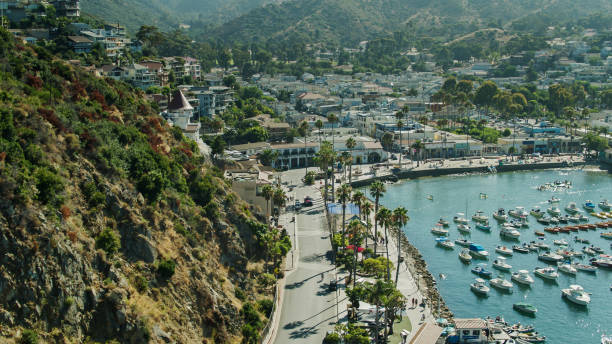 istock Pebbly Beach Road, Avalon - Aerial 1292029933
