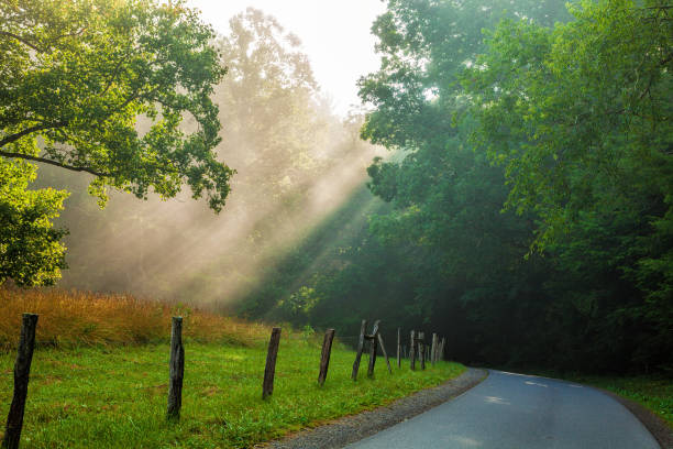 istock Cades Cove Road in the Morning 1292030691