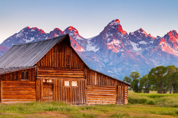 Mormon Row in the Tetons One of the Mormon Row barns in Grand Teton National Park at dawn jackson hole photos stock pictures, royalty-free photos & images