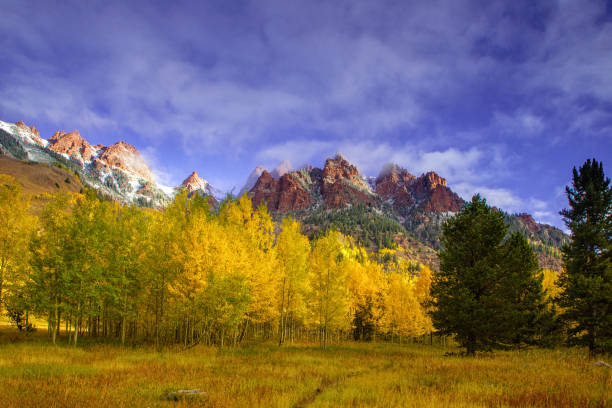 istock Golden autumn in Colorado 1292030786