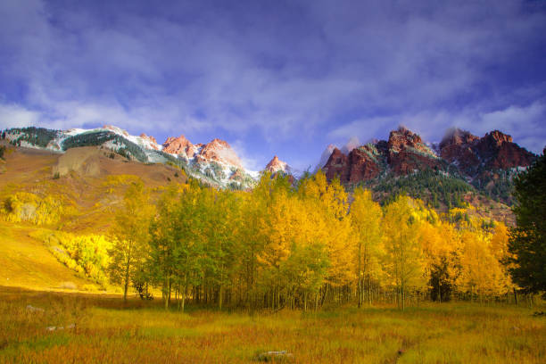 istock Golden autumn in Colorado 1292030794