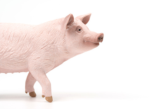 figurine of pink pig isolated on white background
