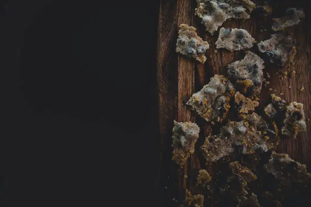 Photo of Chocolate chip cookies broken into small pieces