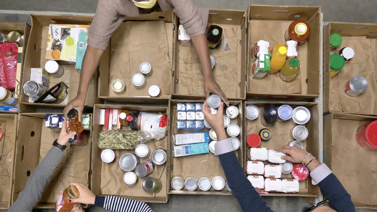 A small group of volunteers in a warehouse, sorting food at the food bank to prepare deliveries for families and shelters in need.