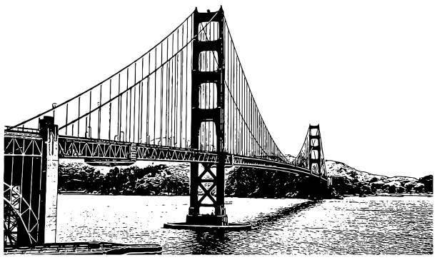 illustrazioni stock, clip art, cartoni animati e icone di tendenza di illustrazione di golden gate bridge vector - golden gate bridge illustrations