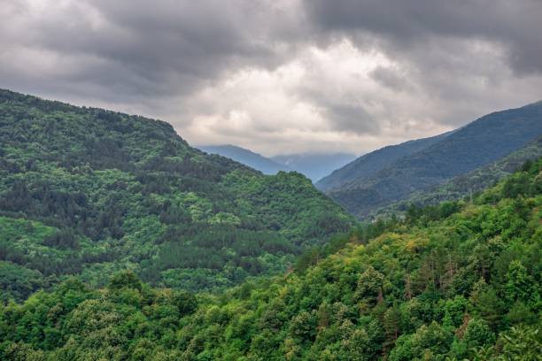 istock Bulgarian Rhodope mountains 1292046616