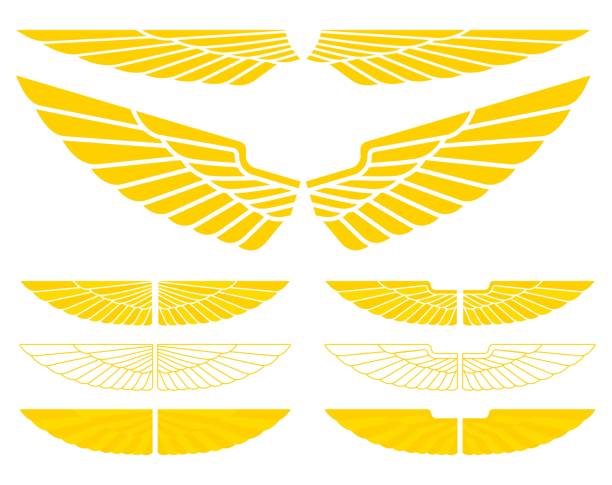 ilustraciones, imágenes clip art, dibujos animados e iconos de stock de alas militares para logotipos o símbolos - ala de avión