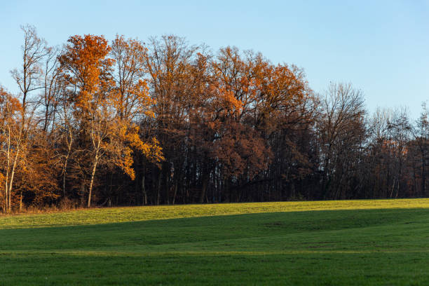 istock autumn fall lawn landscape near south germany 1292053517