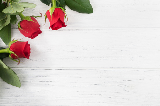 Red rose background for Valentines day, Mothers day, Birthday card. Flowers on the white wooden table flat lay with copy space.