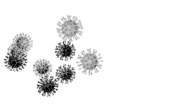 istock SARS-CoV-2 coronavirus on white background in 3d. 1292068850