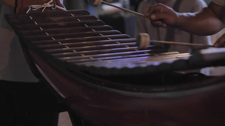 Close-up : Musician playing xylophone