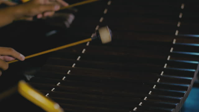 Close-up : Musician playing xylophone