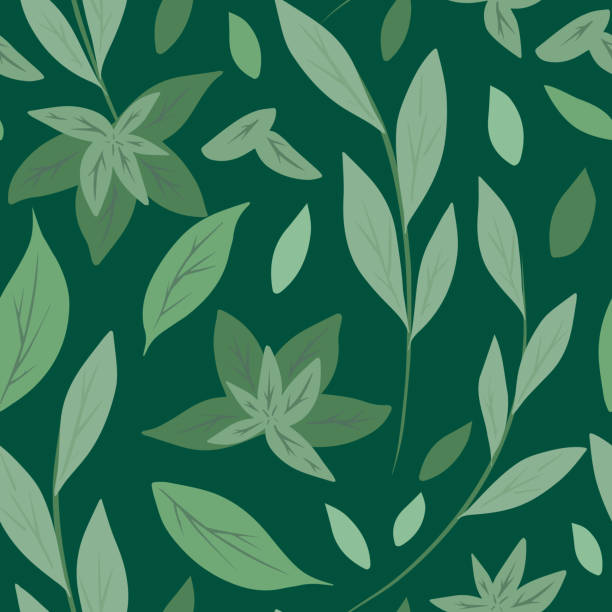 ilustraciones, imágenes clip art, dibujos animados e iconos de stock de patrón sin costuras con hojas y ramas verdes simples sobre fondo verde. fondo natural herbario. té verde y menta. textura dibujada a mano plana vectorial - green tea illustrations