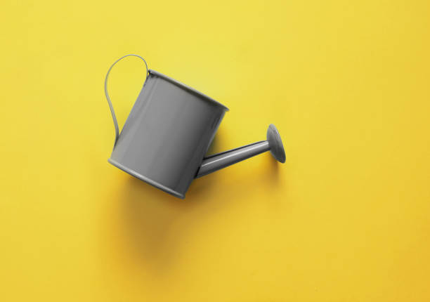 Watering can on trendy colorful background. Watering can on trendy colorful background. watering can photos stock pictures, royalty-free photos & images