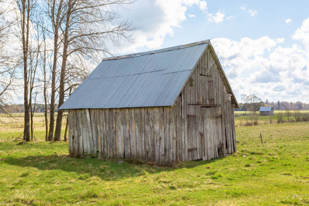 istock Old wooden shed in a field 1292077667