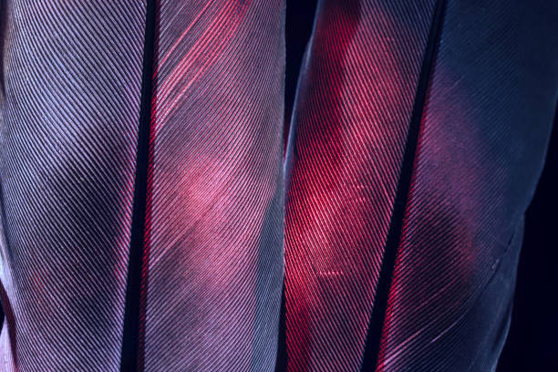 istock Bird green feather. Beautiful background texture pattern for design. Macro photography view. 1292078763