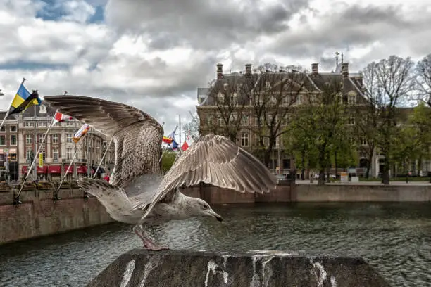 Photo of Amsterdam Netherlands dancing houses over river Amstel landmark