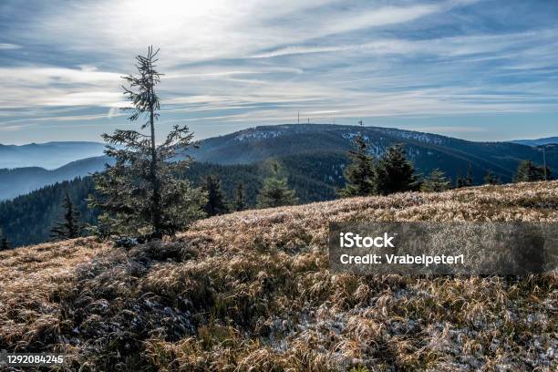 Martinske Hole Little Fatra Mountains Slovakia Stock Photo - Download Image Now - Autumn, Color Image, Environment