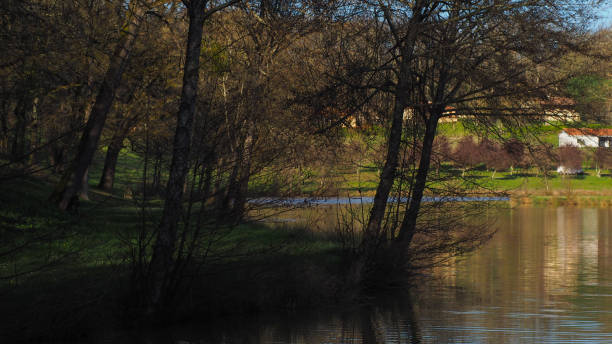istock Idyllic setting at the edge of a pond, in the Gers 1292087965
