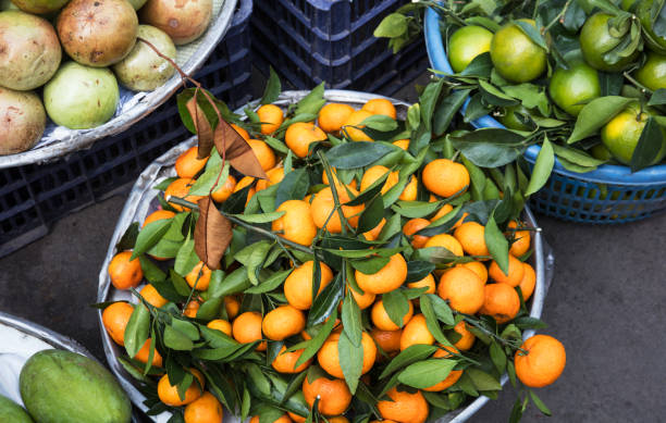 ripe tangerines at the market on a street ripe tangerines at the market on a street chrysophyllum cainito stock pictures, royalty-free photos & images