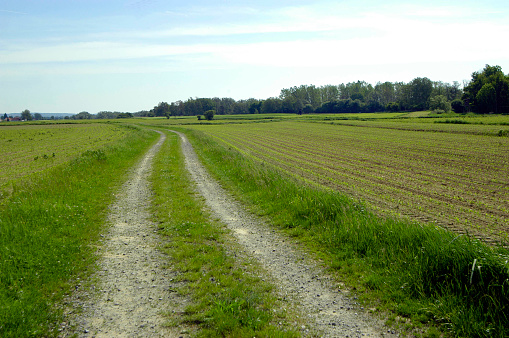 unpaved road or dirt road, traffic and transport in the countryside