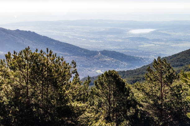 istock Landscape green valley dawns on the mountain. 1292097760