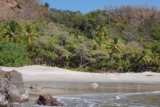 istock Montezuma beach, Costa Rica 1292099619