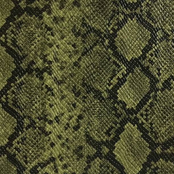 パイソンヘビの皮のプリントと緑の人工皮革の質感 - snake print ストックフォトと画像