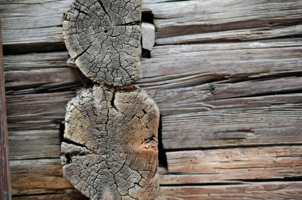 a wood connection or timber joint on a log house