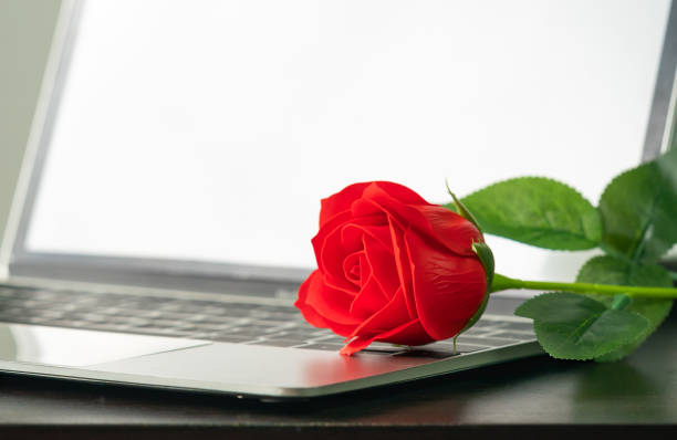 istock Red rose on the laptop keyboard 1292102592
