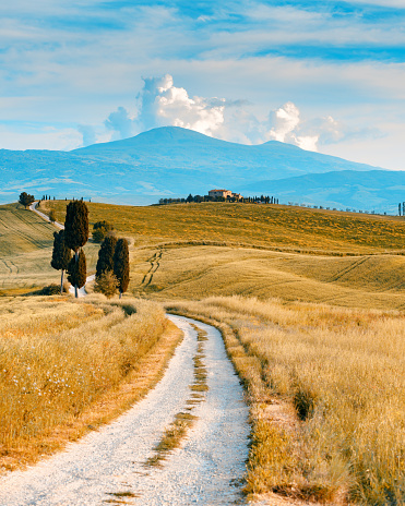 Italian landscape from Val d'Orcia