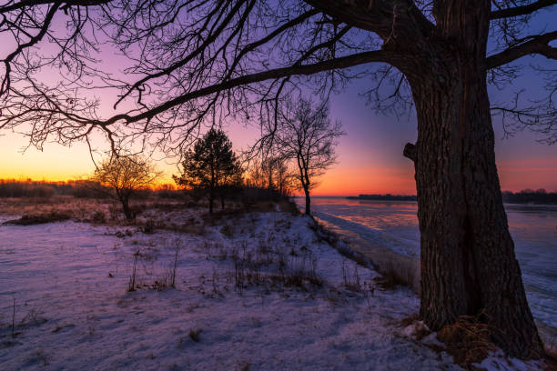 istock Tree silhouette by the river in the dawn twilight before sunrise in winter cold morning. 1292107430